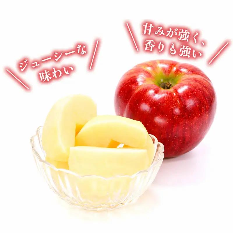 りんご JAうえだ シナノスイート 訳あり 約10kg  果物 りんご