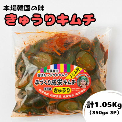 【ふるさと納税】本場韓国の味!全て手作り本格きゅうりキムチ　計1.05kg(350g×3パック)【配送不可地域：離島】【1467677】
