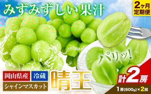 シャインマスカット 2ヶ月 定期便 【2026年先行予約】 シャインマスカット 晴王 1房 約600g《2026年9月上旬-10月末頃出荷(土日祝除く)》 ハレノフルーツ マスカット 送料無料 岡山県 浅口市 フルーツ 果物 贈り物 ギフト 国産 岡山県産 くだもの【配送不可地域あり】