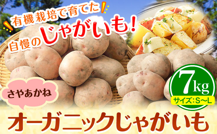 
            じゃがいも 北海道十勝 オーガニック じゃがいも 7kg サイズ S-2L《10月下旬-3月中旬頃出荷》 オフイビラ源吾農場 送料無料 北海道 本別町 さやあかね 負箙源吾農場
          
