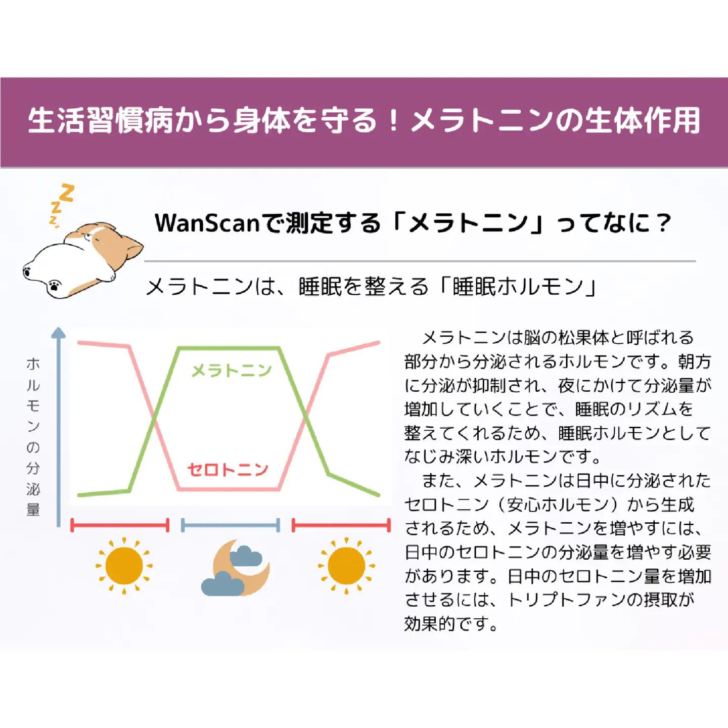 Wan Scan 愛犬用健康検査キット[EV003] / 愛犬 検査 生活習慣 健康検査キット メラトニン ストレス 肥満 リスク 送料無料