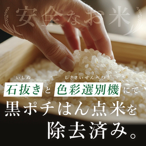 【2ヶ月定期便】茨城県産にじのきらめき　精米　10kg｜精米 定期便 お米 米 こめ コメ ごはん 白米 阿見町 茨城県 茨城県産 茨城県産米 安心 安全 送料無料 国産 人気 数量限定 高評価（85