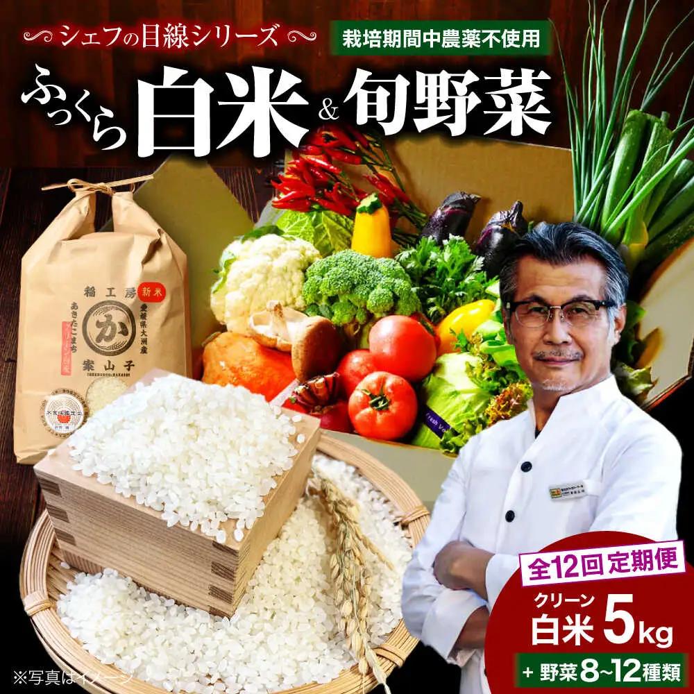お米 定期便【全12回 】お米 5kg+旬野菜 セット[AGBX011]