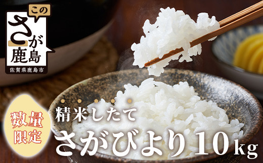 B-351【数量限定】令和５年産 佐賀県鹿島市産 さがびより 白米10kg お米マイスターセレクト！