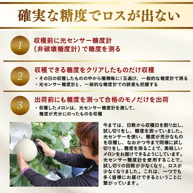 【先行予約】赤肉パリスメロン 秀品 2玉（1.5kg以上×2玉）【アールス系赤肉メロン】《糖度16度程度！1株1果採りで育てる高級メロン！》／ 果物 フルーツ 農家直送 赤肉 マスクメロン アールスメ