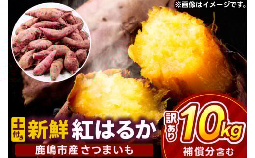 【先行予約】【2025年10月以降発送】【訳あり】紅はるか　計 約１０kg　(8kg+約25%補償分)【さつまいも サツマイモ 紅はるか 茨城県 鹿嶋市 10000円以下】（KAM-24）