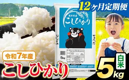 【12ヶ月定期便】白米 こしひかり 5kg
