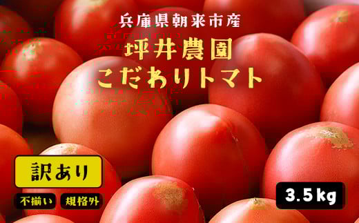 
            坪井農園こだわりトマト【訳あり／規格外品】3.5kg オンライン決済限定【342130】坪井農園 トマト 有機肥料 安心 安全 おいしい トマト嫌いでも食べられる 人気 規格外 訳あり
          