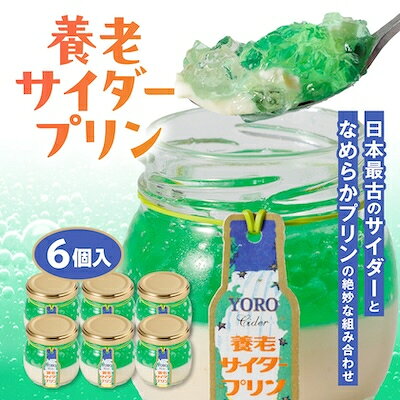 【ふるさと納税】養老サイダープリン　6個入り【配送不可地域：離島】【1747363】