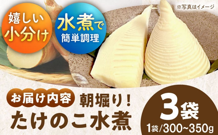 筍 タケノコ おうちごはん 竹の子 春 筍ご飯 たけのこご飯 煮物 旬の食材 山菜 筍ごはん