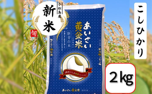 【選べる容量】令和6年産 新米 あいさい黄金米 2kg 胚芽白米 徳島県 コシヒカリ 2キロ 5キロ 6キロ 10キロ