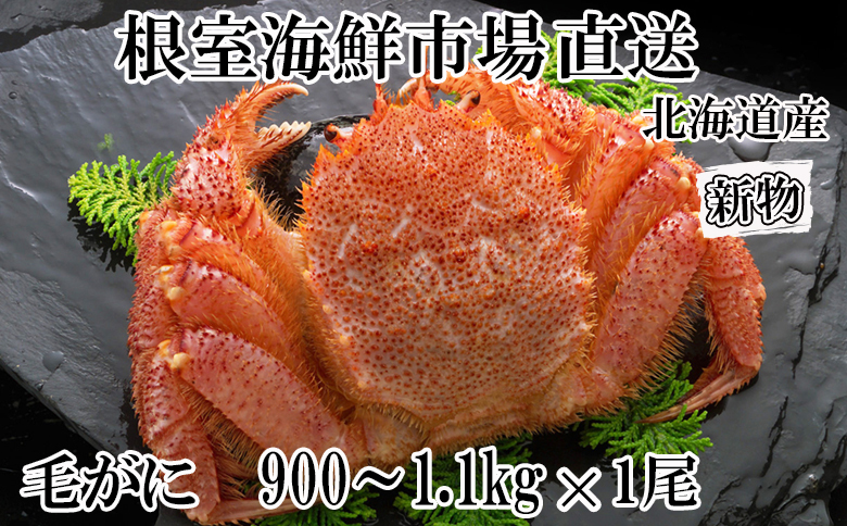 ボイル毛がに900g～1.1kg×1尾 F-14029