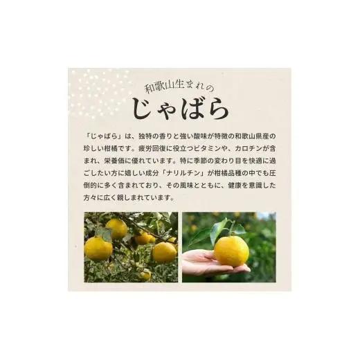 N024　青搾りじゃばらストレート果汁３６０ｍｌ