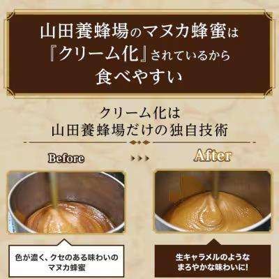 ふるさと納税 津山市 【毎月定期便】マヌカ蜂蜜(クリームタイプ)MG100+(22193)全12回 |  | 01