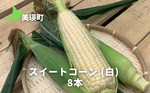【先行予約】とうもろこし （白）8本 スイートコーン<令和8年産 >サスケの家 [013-95]