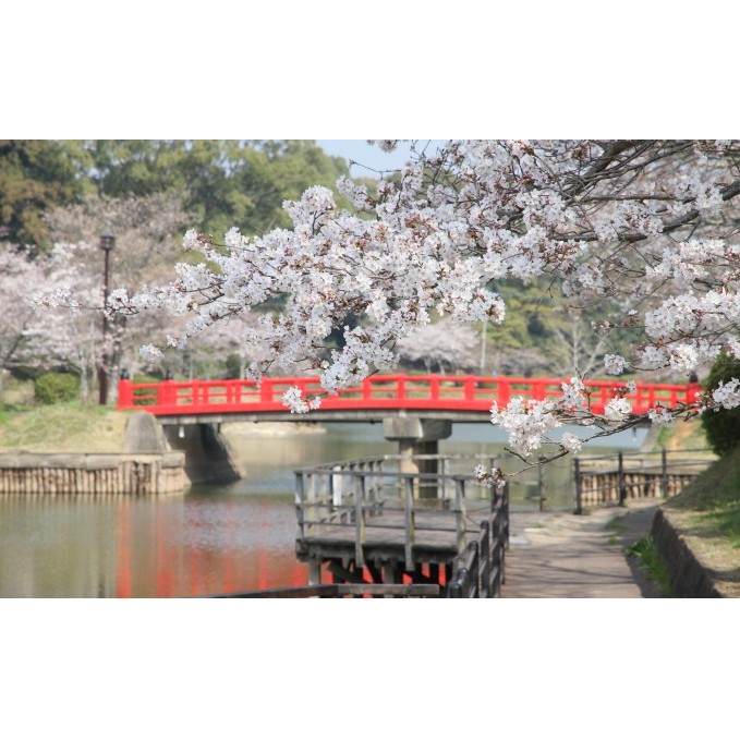 福岡県朝倉市　日本旅行　地域限定旅行クーポン30,000円分 チケット _イメージ5