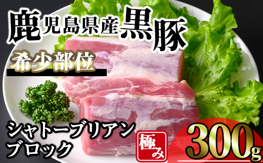 ＜内容量が選べる！＞かごしま味わい黒豚希少部位 極みシャトーブリアン (300g)【KNOT】 A619