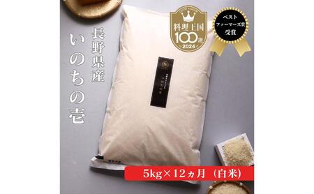 いのちの壱 定期便 12ヶ月 白米 5kg 令和8年産 いのちの壱