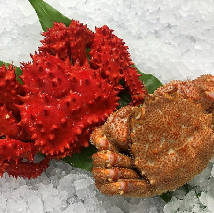 【ふるさと納税】花咲がに500g前後、毛がに350g前後セット 各1尾(計2尾) 〜 各4尾(計8尾) カニ かに 蟹 花咲ガニ 花咲蟹 毛ガニ 毛蟹 北海道 根室市 海鮮