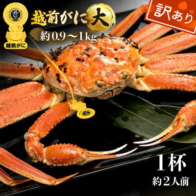 【訳あり】越前がに 浜茹で 大サイズ(生で約0.9～1kg) × 1杯 約2人前【配送不可地域：離島・北海道・沖縄】【1514451】