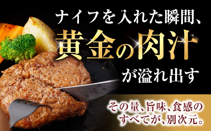 【3回定期便】【肉汁、洪水警報】長崎和牛 手ごねハンバーグ 1.5kg(150g×10個) / 国産 牛肉 和牛 肉 a5 ハンバーグ はんばーぐ 小分け / 諫早市 / 野中精肉店 [AHCW134