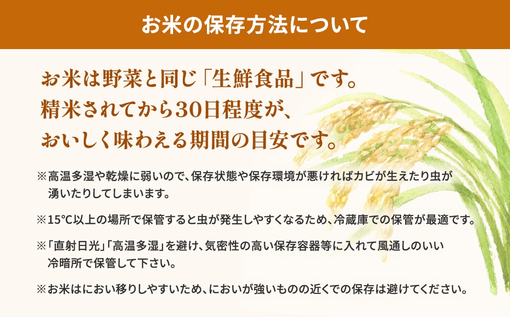 【新米先行予約!!】 令和7年産【無洗米】茨城県産 コシヒカリ 10kg (5kg×2袋) ＜令和7年10月内発送＞ 新米 米 無洗米 小分け 2025年産 K2454