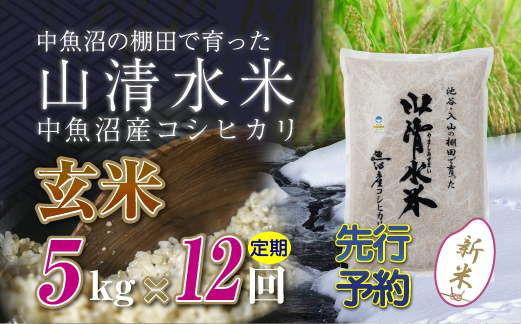 【先行新米予約】【定期便／全12回】玄米5kg　新潟県魚沼産コシヒカリ「山清水米」十日町市 米