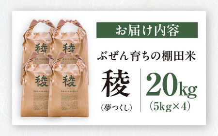 求菩提米　夢つくし　20kg (5kg×4袋) 《豊前市》【アグリネックス】米 お米 白米[VCO005]