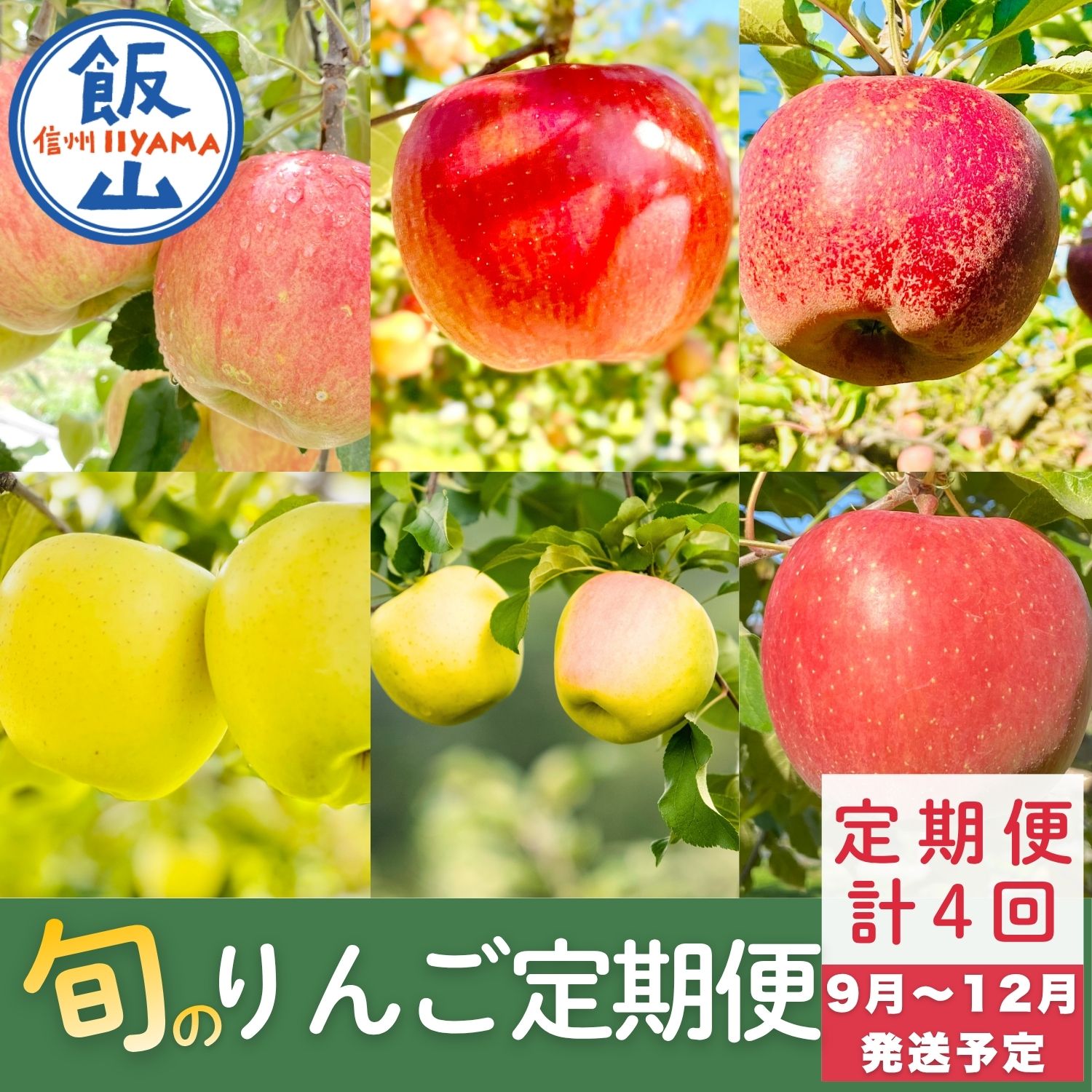 【ふるさと納税】＜2026年発送 定期便 全4回＞旬のりんごの定期便(At)＜出荷開始：2026年9月上旬〜＞【 林檎 りんご リンゴ 果物 くだもの フルーツ 長野 長野県 飯山市 サンつがる シナノスイーツ 秋映 シナノゴールド 名月 サンふじ ギフト プレゼント 記念日 誕生日】