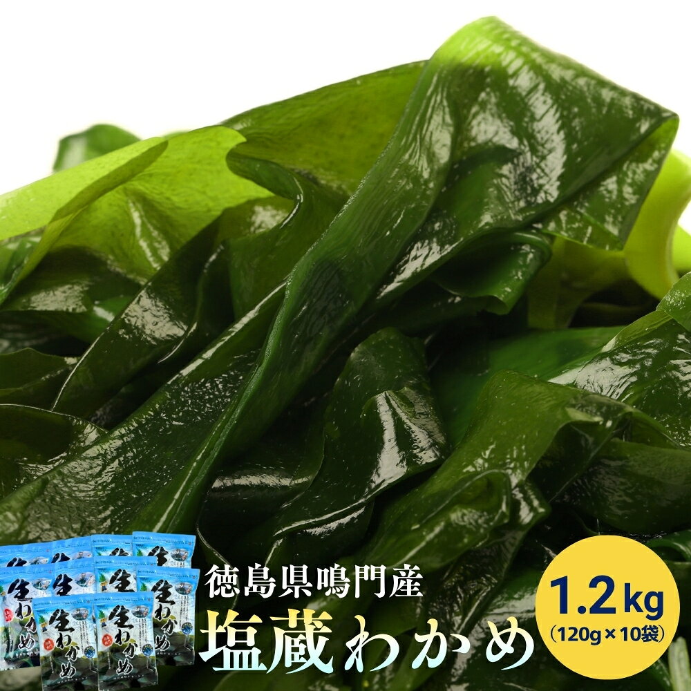 【ふるさと納税】鳴門市里浦産 塩蔵わかめ 1.2kg（120g×10袋）＜貴彩＞ ｜ 鳴門わかめ 国産 徳島 小分け ギフト 贈り物
