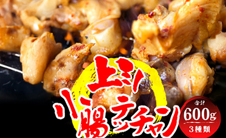 厳選 ホルモン 欲張りセット 600g 小腸 / 上ミノ / テッチャン 各200g