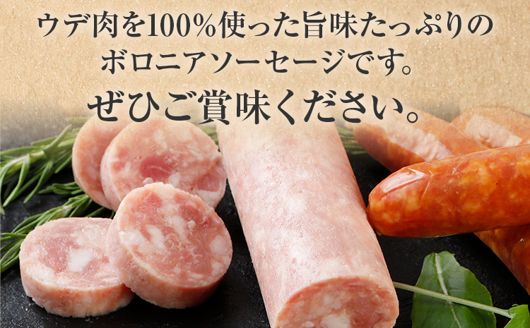 ボロニアソーセージ５本(160g×5)セット ソーセージ ボロニア 名水豚 お肉 ステーキ バーベキュー BBQ 惣菜 豚肉 ウデ肉100% お弁当 朝ごはん 朝食 おかず 福岡県 大木町 お取り寄せ