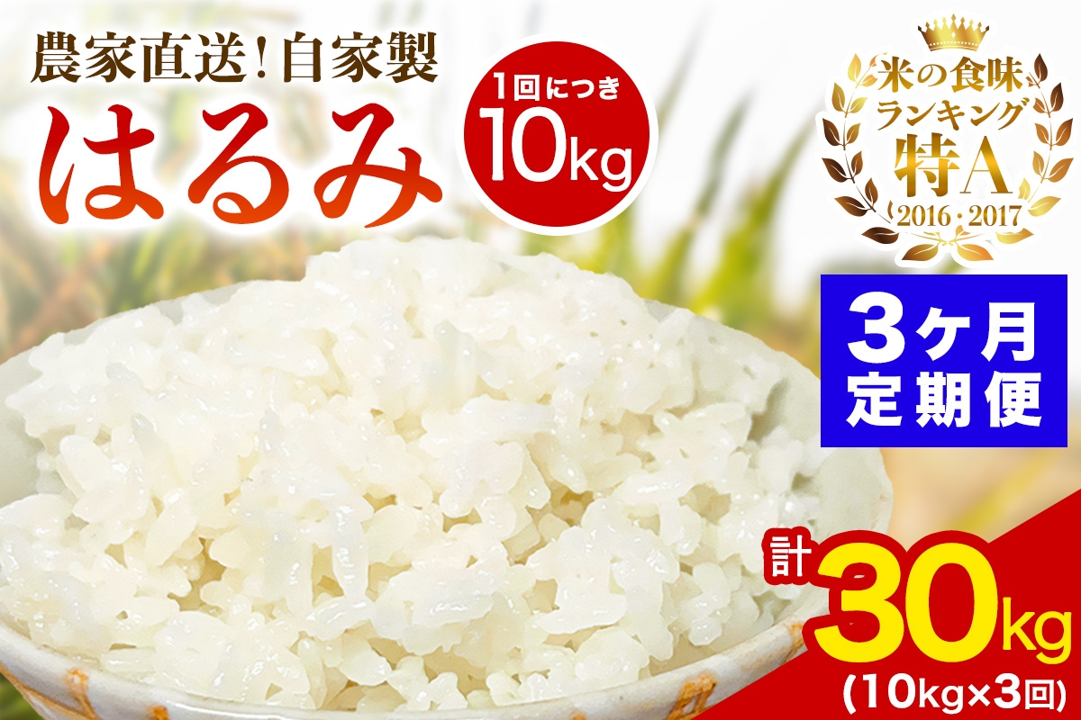 
                  [定期便／3ヶ月連続 ]新米[令和8年産／10月下旬より順次発送] 伊勢原産 精米10kg(5kg×2袋) はるみ 農家直送！加藤さんちのうんめぇ！自家製米｜お米 おこめ コメ 白米 神奈川 伊勢原 ブランド米 [1106]
                
