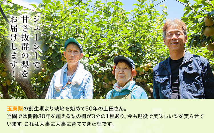 上田果樹園の元祖！玉東梨(旬の品種をお届けします)約5kg(8玉-16玉)熊本県玉名郡玉東町 なし 果物 スイーツ デザート 《7月下旬-9月下旬頃出荷》