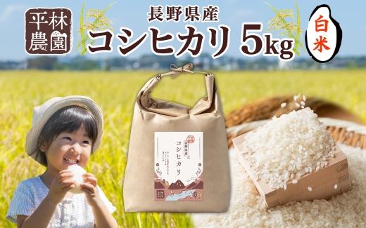 【9月中発送可】令和6年産 コシヒカリ 白米 5kg×1袋 長野県産 米 精米 お米 ごはん ライス 甘み 農家直送 産直 信州 人気 ギフト お取り寄せ 平林農園 送料無料 長野県 大町市