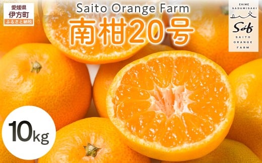 【先行予約】Saito Orange Farmの南柑20号10kg（2025年12月中下旬頃より順次発送） 【 ふるさと納税 人気 おすすめ ランキング みかん ミカン 蜜柑 柑橘 南果20号 フルーツ 果物 産地直送 西宇和 Saito Orange Farm 愛媛県産 愛媛県 伊方町 送料無料 】 IKTAQ019