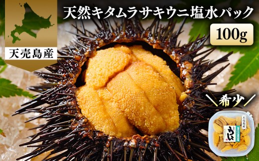 
                  【北海道 天売島産】  天然 キタムラサキうに 塩水パック 100g×1パック | ウニ うに ムラサキウニ 紫うに 天然うに 北海道うに 高級うに 海鮮 海産物 生うに 塩水うに 魚介類 魚介 海の幸 キタムラサキウニ グルメ おつまみ 寿司ネタ 贅沢 お取り寄せ 北海道 羽幌町 羽幌【31001】
                