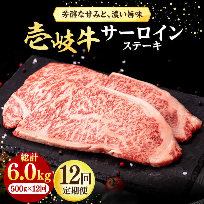 【ふるさと納税】【全12回定期便】 壱岐牛 サーロインステーキ 500g（250g×2枚）《壱岐市》【株式会社イチヤマ】[JFE042] 冷凍配送 黒毛和牛 A5ランク 定期便 赤身 肉 牛肉 サーロイン ステーキ 焼肉 焼き肉 BBQ 焼肉用 400000 400000円 40万円
