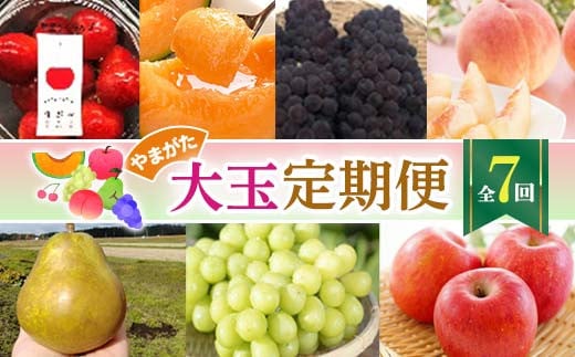 【2025年発送先行予約】やまがた大玉定期便(全7回) FSY-1024