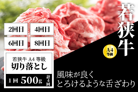 【定期便 8回コース】 坂井市産コシヒカリ 計40㎏ ＋ 若狭牛切り落とし 計2㎏ [J-3201]