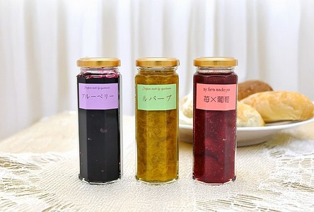 江口農園　果実ぎっしりジャム　3本セットB