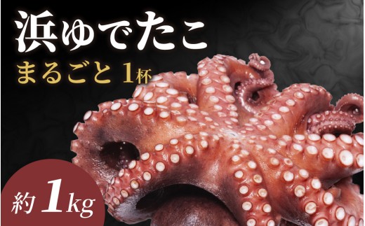【先行予約】【浜ゆで！！】南越前町産　真蛸　約1.0kg【2026年5月中旬ごろ順次発送】｜ 真蛸 生 タコ お刺身 海鮮BBQ 海鮮バーベキューセット bbq バーベキュー 貝 ギフト 海鮮 贈答 海鮮 お取り寄せ 冷凍 産地直送 海直送 港直送 送料無料