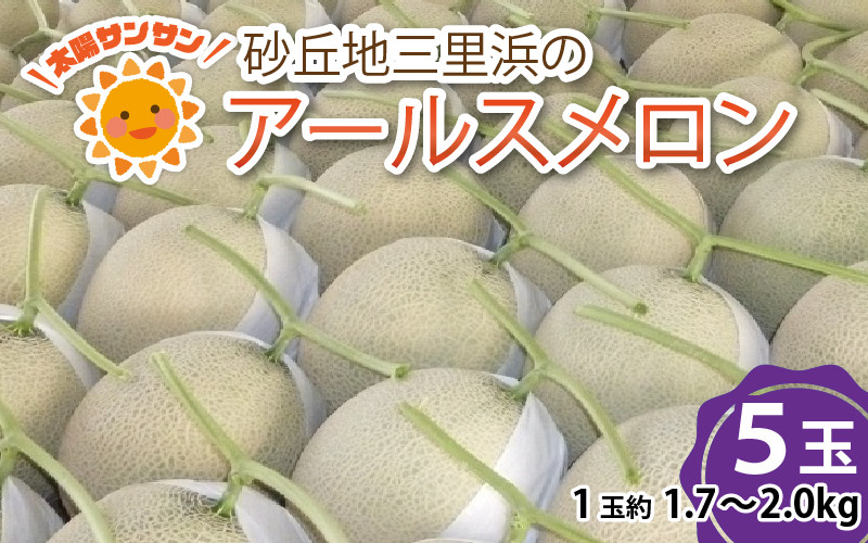 【先行予約】 太陽サンサン砂丘地 三里浜のアールスメロン5玉（1玉あたり約1.7～2.0kg）【2027年9月上旬以降順次発送予定】 [B-8301]