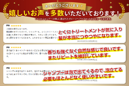 シャンプー 「ベストシャンプー10傑」に選ばれたダメージヘアケアセット サロン トリートメント