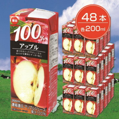 【ふるさと納税】毎日牛乳 毎日100%アップル 200ml紙パック×48本入【1282193】