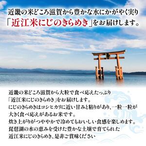 令和7年産 新米 白米 5kg にじのきらめき 精米 近江米 ニジノキラメキ 国産 お米 米 おこめ ごはん ご飯 白飯 しろめし こめ ゴハン 御飯 滋賀県産 竜王 ふるさと ランキング 人気 おす