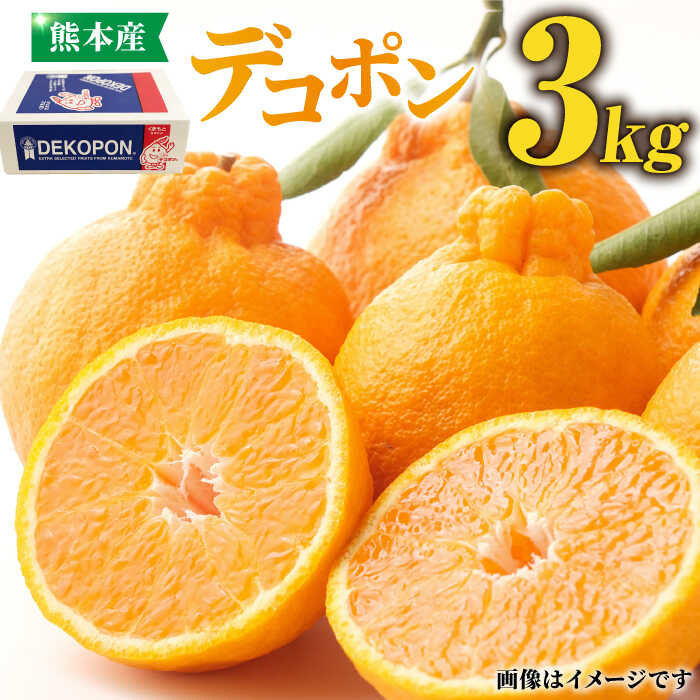 【ふるさと納税】【先行予約】デコポン 約3kg 化粧箱入り【かきやま果実】[ZCJ002] デコポン 不知火 みかん 3kg 産地直送 国産 熊本 山鹿市