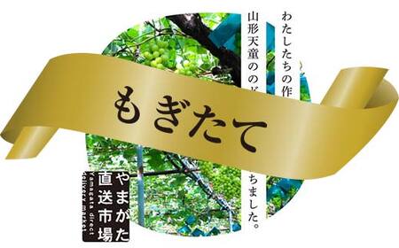 【先行受付（令和7年度発送）】もぎたてシャインマスカット1房 600g程度 ギフト箱入り FSY-2029