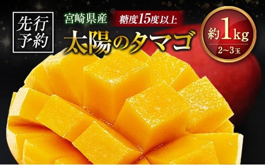 ≪先行予約≫ 宮崎県産 完熟マンゴー「太陽のタマゴ」約1kg 計2～3玉 2026年発送 ブランド 南国 トロピカル フルーツ 果物 くだもの 化粧箱入り