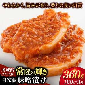 いばらき満喫Bセット 「鹿島灘産 はまぐり」＋「【茨城県共通返礼品】常陸の輝き (豚肉) 味噌漬け」【蛤 ハマグリ 三元豚 豚 ぶた ブタ セット バーベキュー BBQ 贈答用 ギフト 鹿嶋市 茨城】